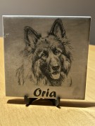 oria_1.JPEG