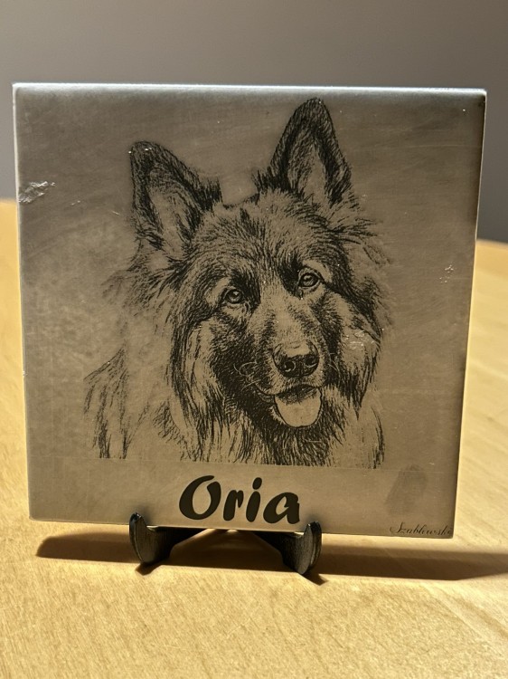 oria_1.JPEG